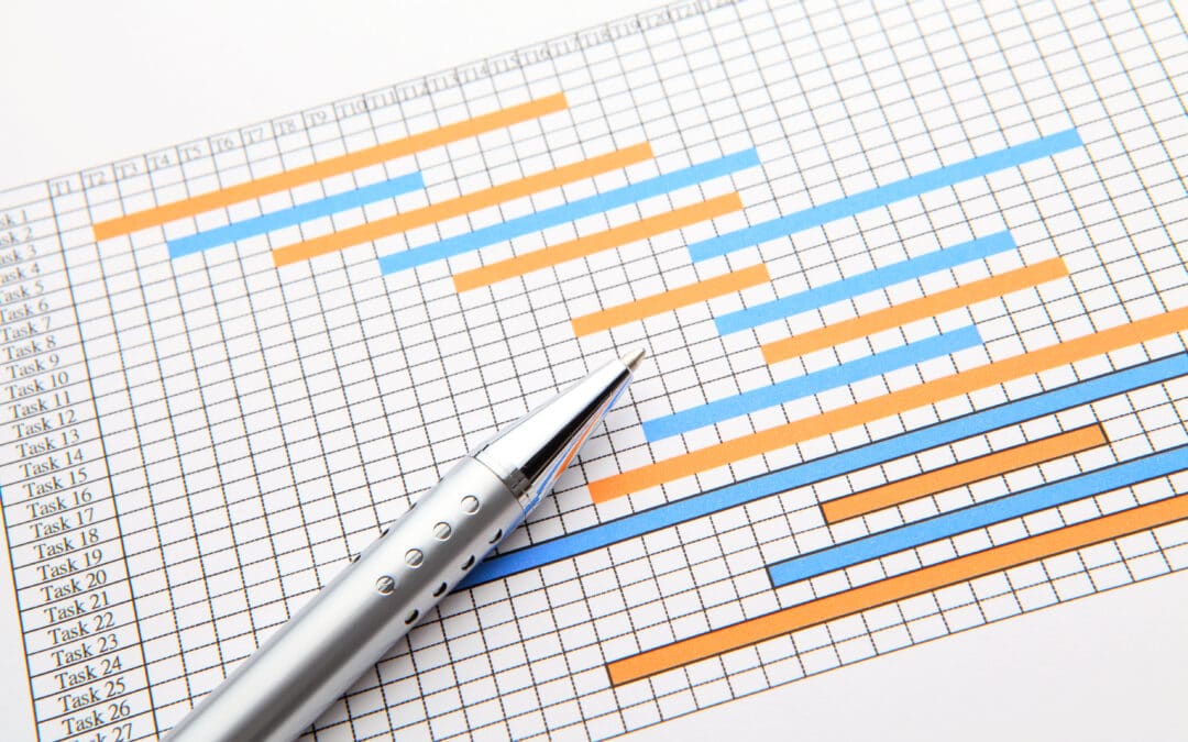 project management